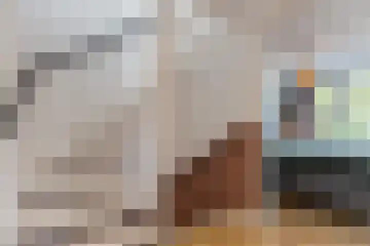 Jenneke E. Bijlhof 15 Waarder thumbnail 29