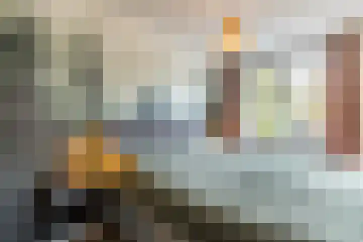 Jenneke E. Bijlhof 15 Waarder thumbnail 30