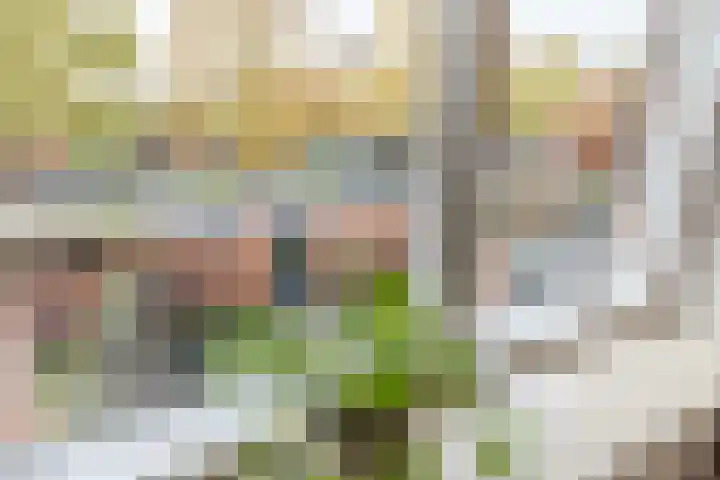 Jenneke E. Bijlhof 15 Waarder thumbnail 32