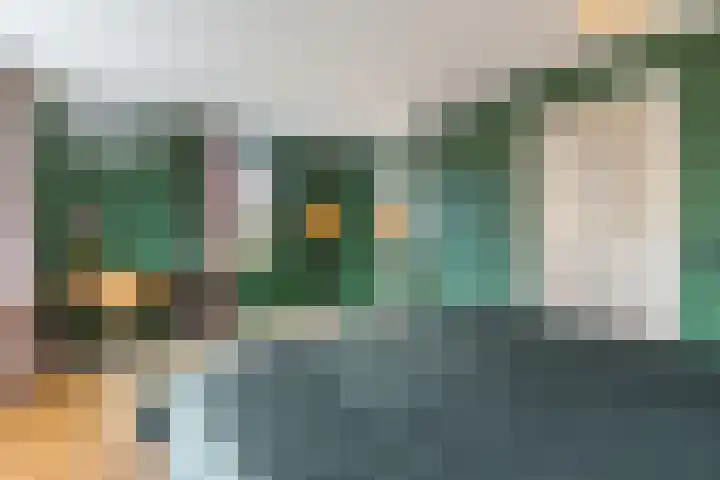 Jenneke E. Bijlhof 15 Waarder thumbnail 34