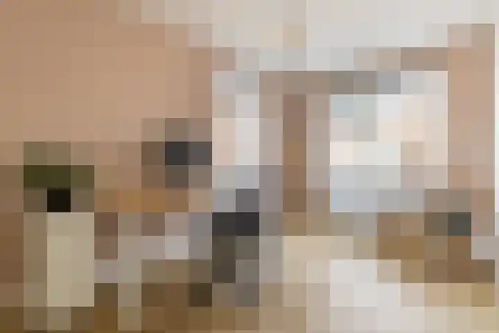 Jenneke E. Bijlhof 15 Waarder thumbnail 36