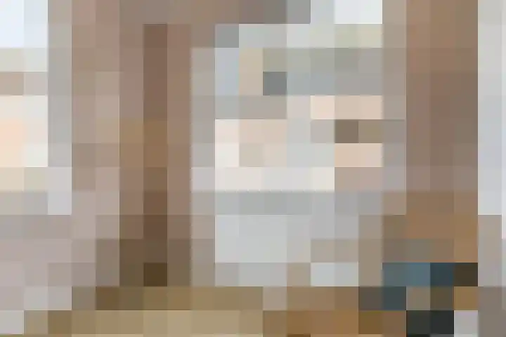 Jenneke E. Bijlhof 15 Waarder thumbnail 37