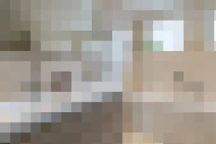 Jenneke E. Bijlhof 15 Waarder thumbnail 39