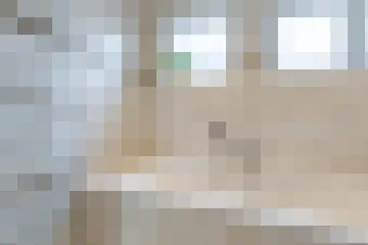 Jenneke E. Bijlhof 15 Waarder thumbnail 40