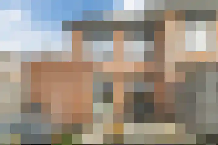 Jenneke E. Bijlhof 15 Waarder thumbnail 47