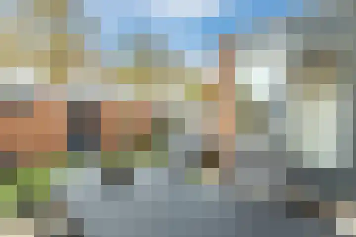 Jenneke E. Bijlhof 15 Waarder thumbnail 49