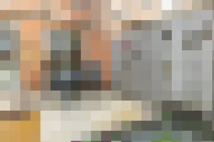 Jenneke E. Bijlhof 15 Waarder thumbnail 50