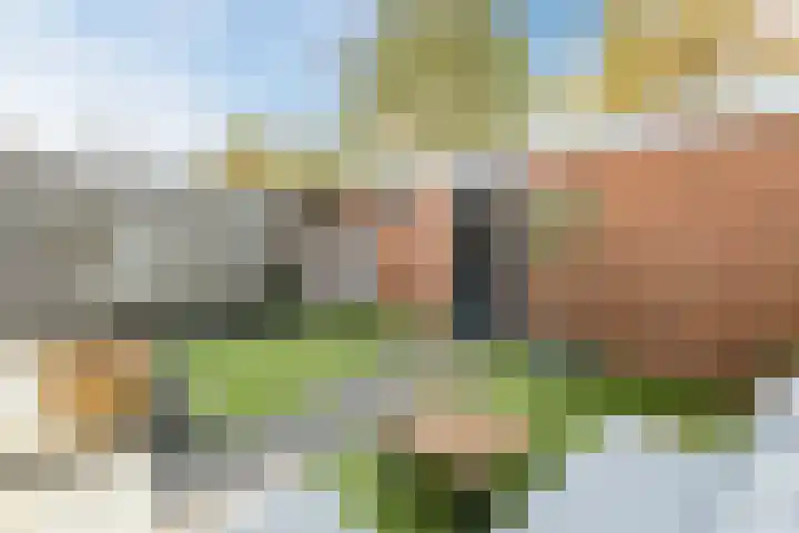 Jenneke E. Bijlhof 15 Waarder thumbnail 53