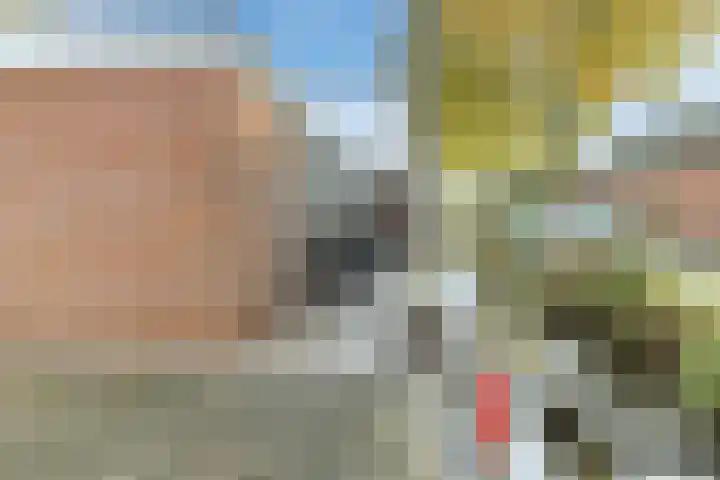 Jenneke E. Bijlhof 15 Waarder thumbnail 57