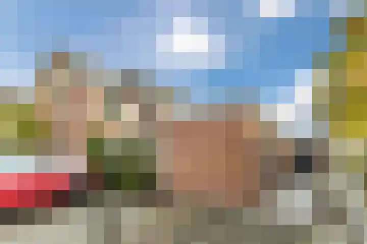 Jenneke E. Bijlhof 15 Waarder thumbnail 59