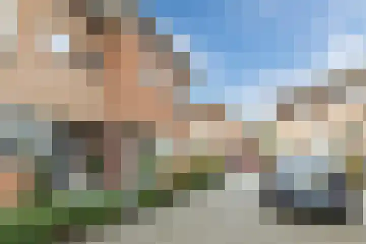 Jenneke E. Bijlhof 15 Waarder thumbnail 61