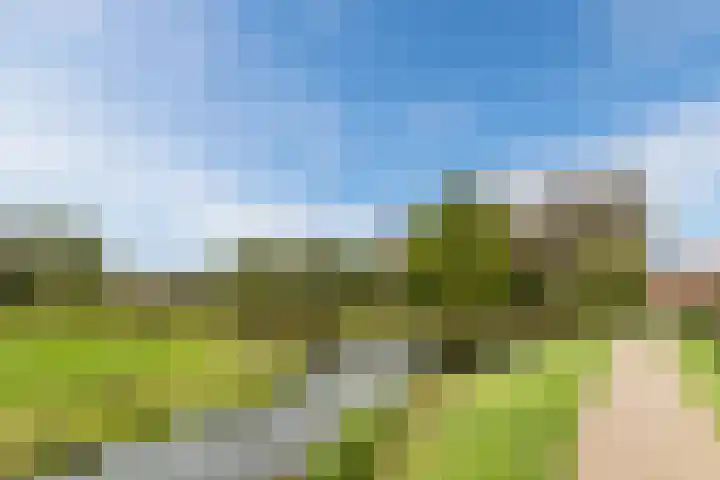 Jenneke E. Bijlhof 15 Waarder thumbnail 62