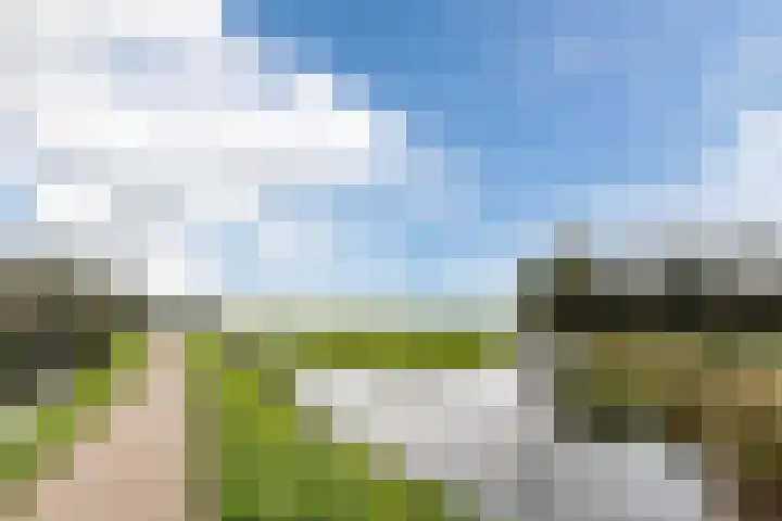 Jenneke E. Bijlhof 15 Waarder thumbnail 63