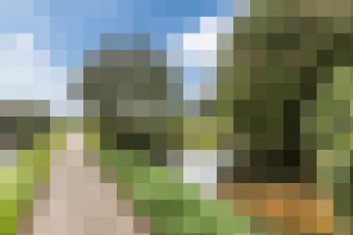 Jenneke E. Bijlhof 15 Waarder thumbnail 64
