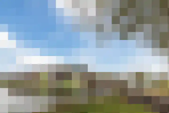 Jenneke E. Bijlhof 15 Waarder thumbnail 65