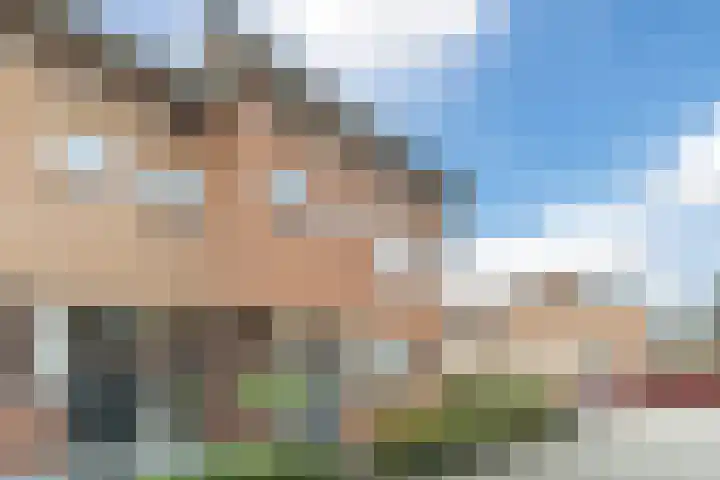Jenneke E. Bijlhof 15 Waarder thumbnail 7