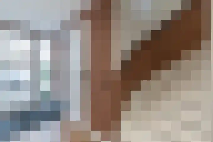 Jenneke E. Bijlhof 15 Waarder thumbnail 9