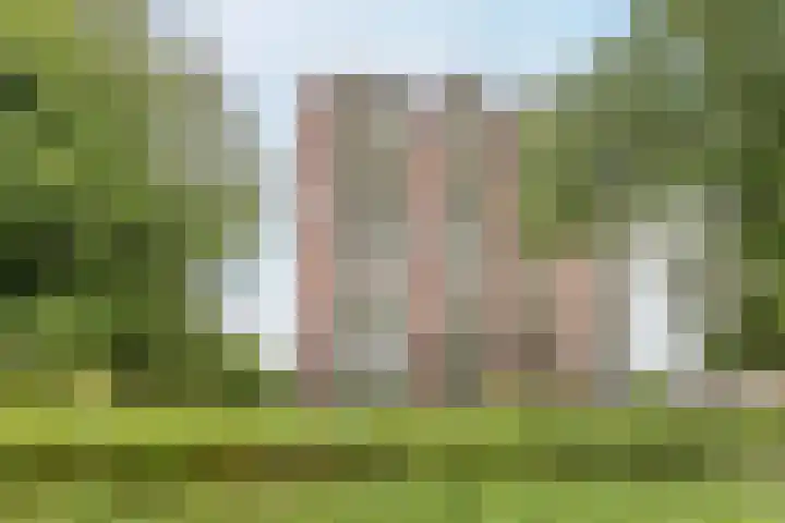 Jennerstraat 126 Hoogeveen thumbnail 34