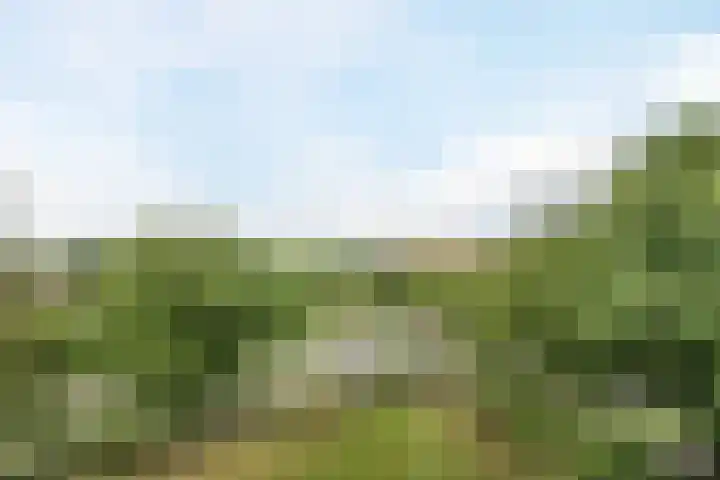 Jennerstraat 126 Hoogeveen thumbnail 5