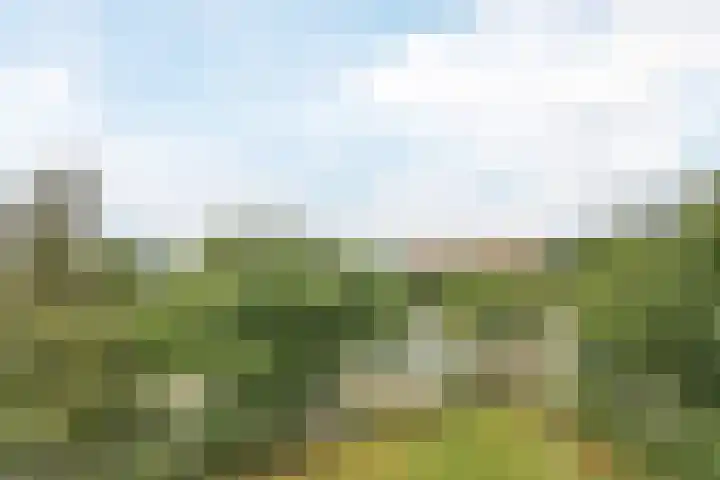 Jennerstraat 126 Hoogeveen thumbnail 9