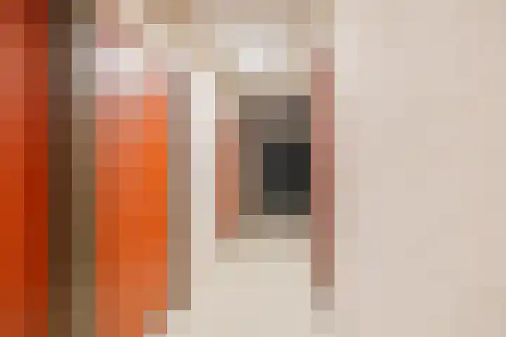 Jennerstraat 156 Hoogeveen thumbnail 34