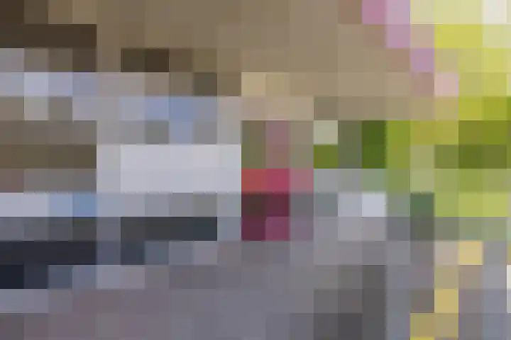 Jennerstraat 156 Hoogeveen thumbnail 36