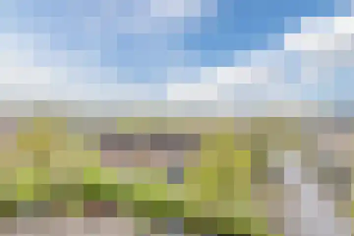 Jennerstraat 156 Hoogeveen thumbnail 6
