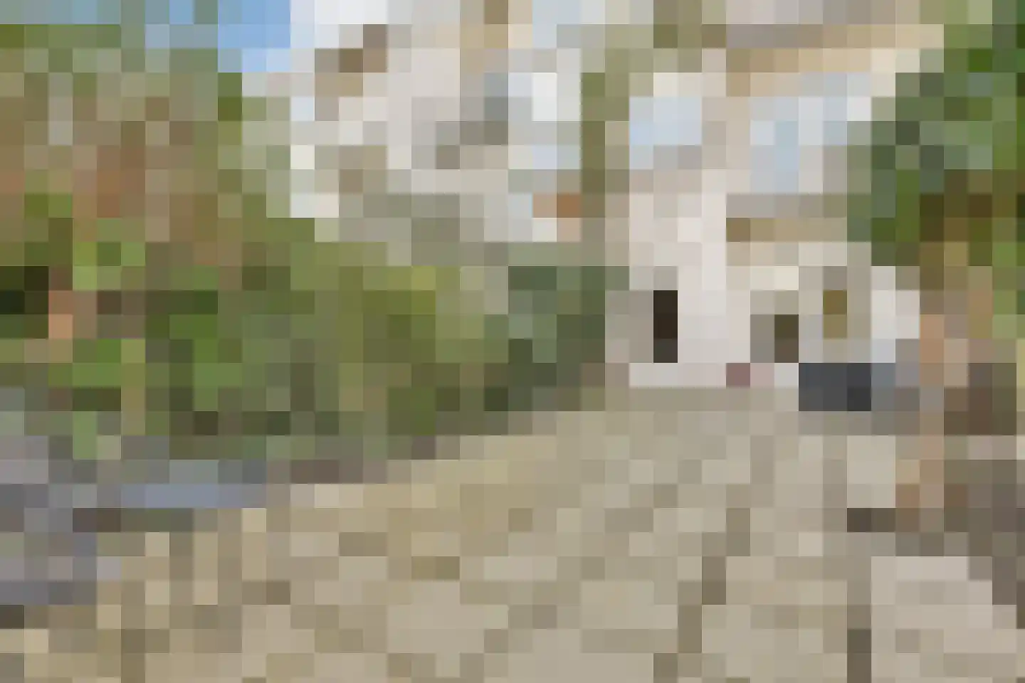 Jennerstraat 16 H Amsterdam thumbnail 11