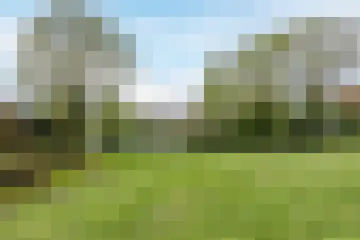 Jennerstraat 198 Hoogeveen thumbnail 35