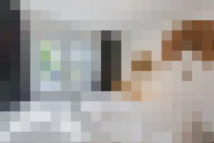 Jennerstraat 2 Hoogeveen thumbnail 15