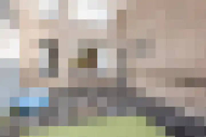 Jennerstraat 2 Hoogeveen thumbnail 25