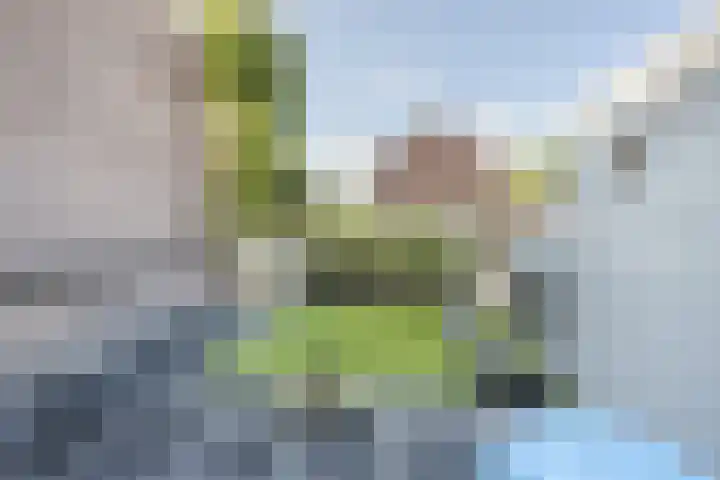 Jennerstraat 2 Hoogeveen thumbnail 27