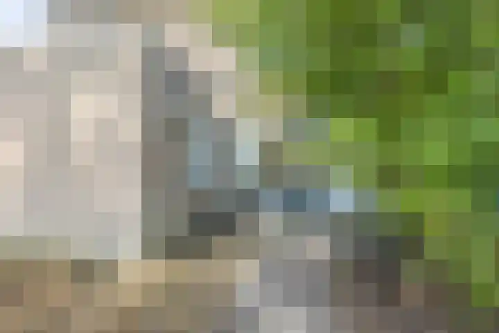 Jennerstraat 2 Hoogeveen thumbnail 29