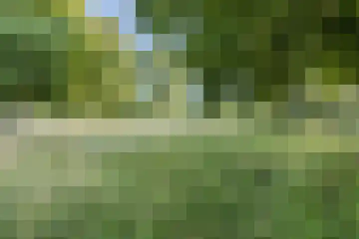 Jennerstraat 2 Hoogeveen thumbnail 33