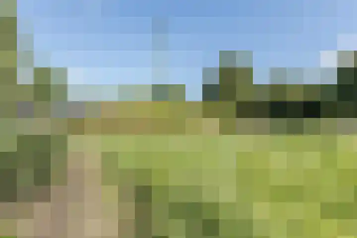 Jennerstraat 2 Hoogeveen thumbnail 35