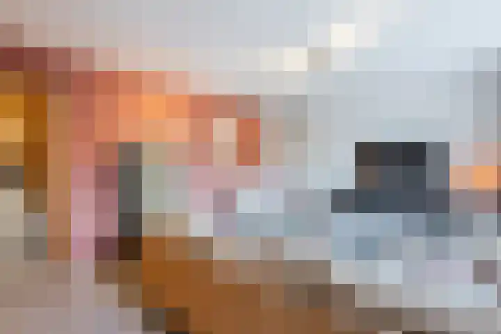 Jennerstraat 2 Hoogeveen thumbnail 5