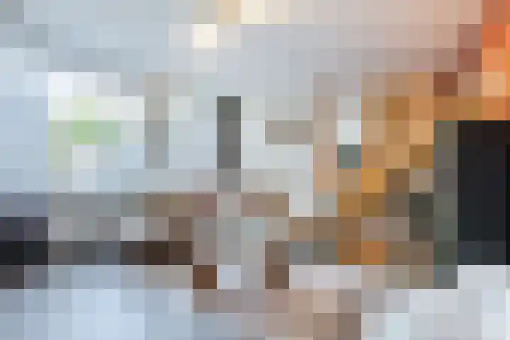 Jennerstraat 2 Hoogeveen thumbnail 8