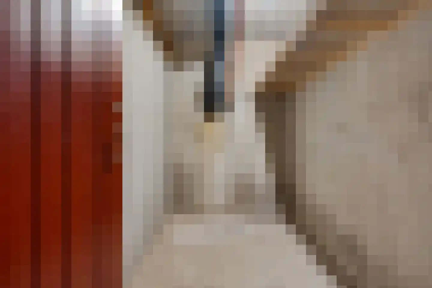 Jennerstraat 216 Hoogeveen thumbnail 37