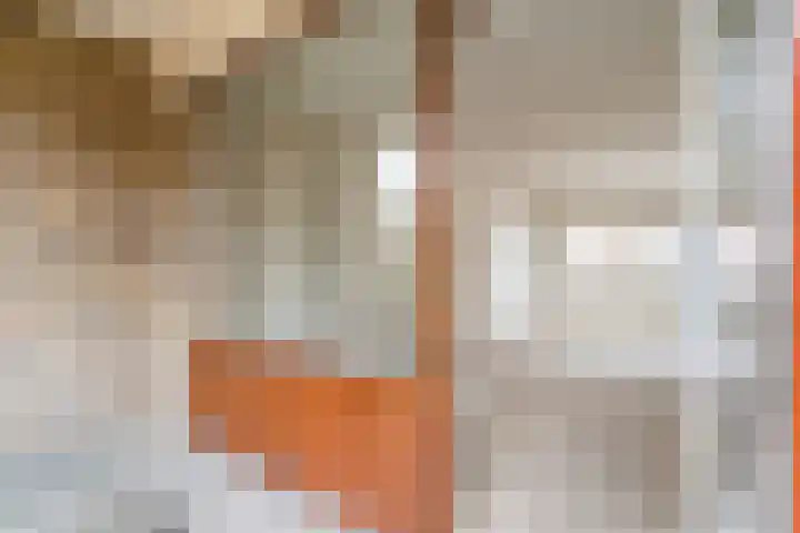 Jennerstraat 25 Amsterdam thumbnail 14