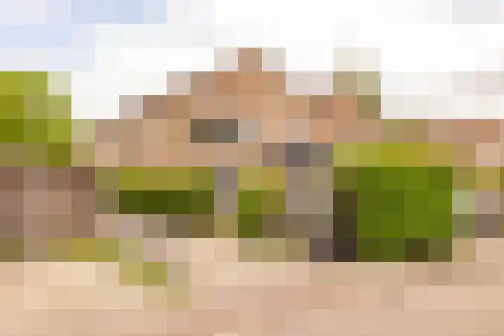 Jennerstraat 30 Hoogeveen thumbnail 35