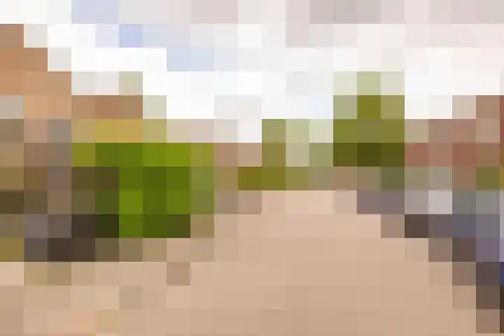 Jennerstraat 30 Hoogeveen thumbnail 37