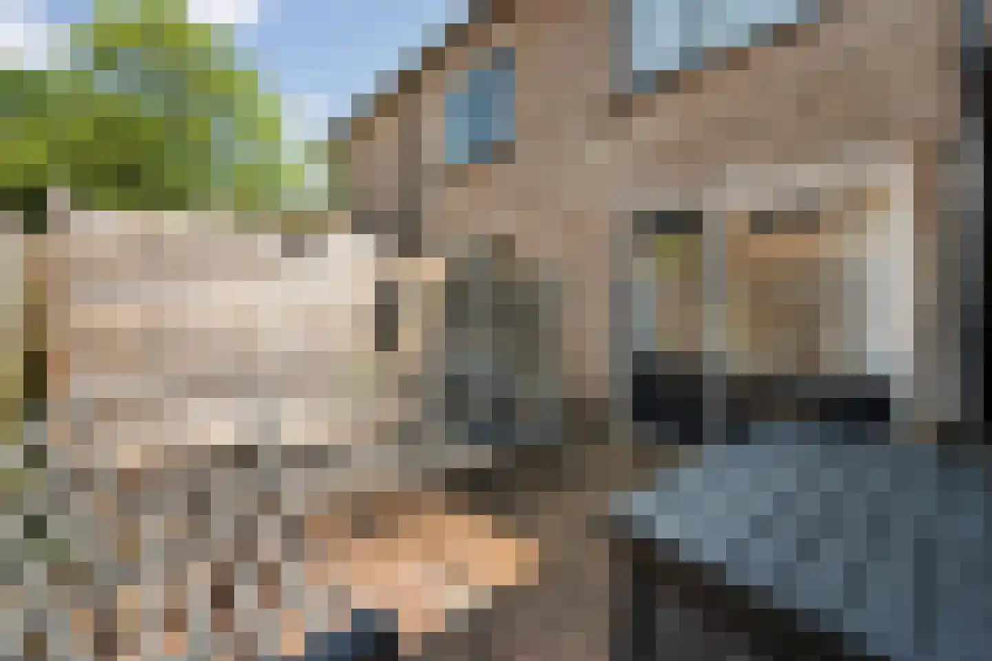 Jennerstraat 32 Hoogeveen thumbnail 21