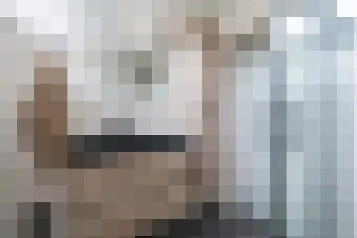 Jennerstraat 7 Hoogeveen thumbnail 35