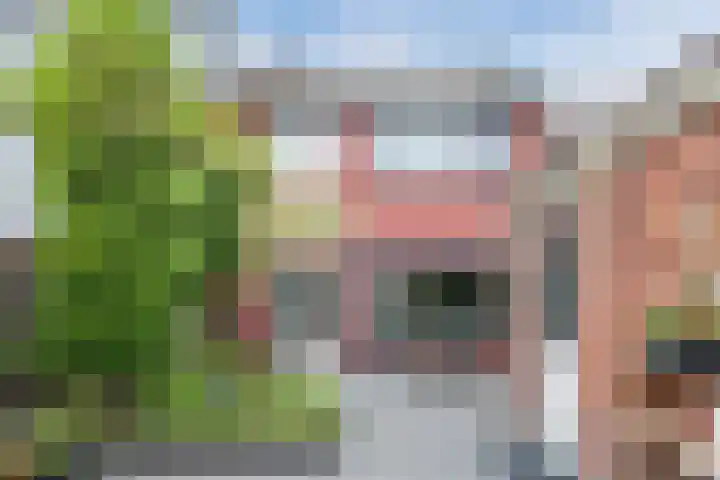 Jennerstraat 7 Hoogeveen thumbnail 38