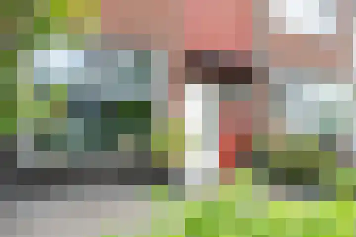 Jennerstraat 7 Hoogeveen thumbnail 9