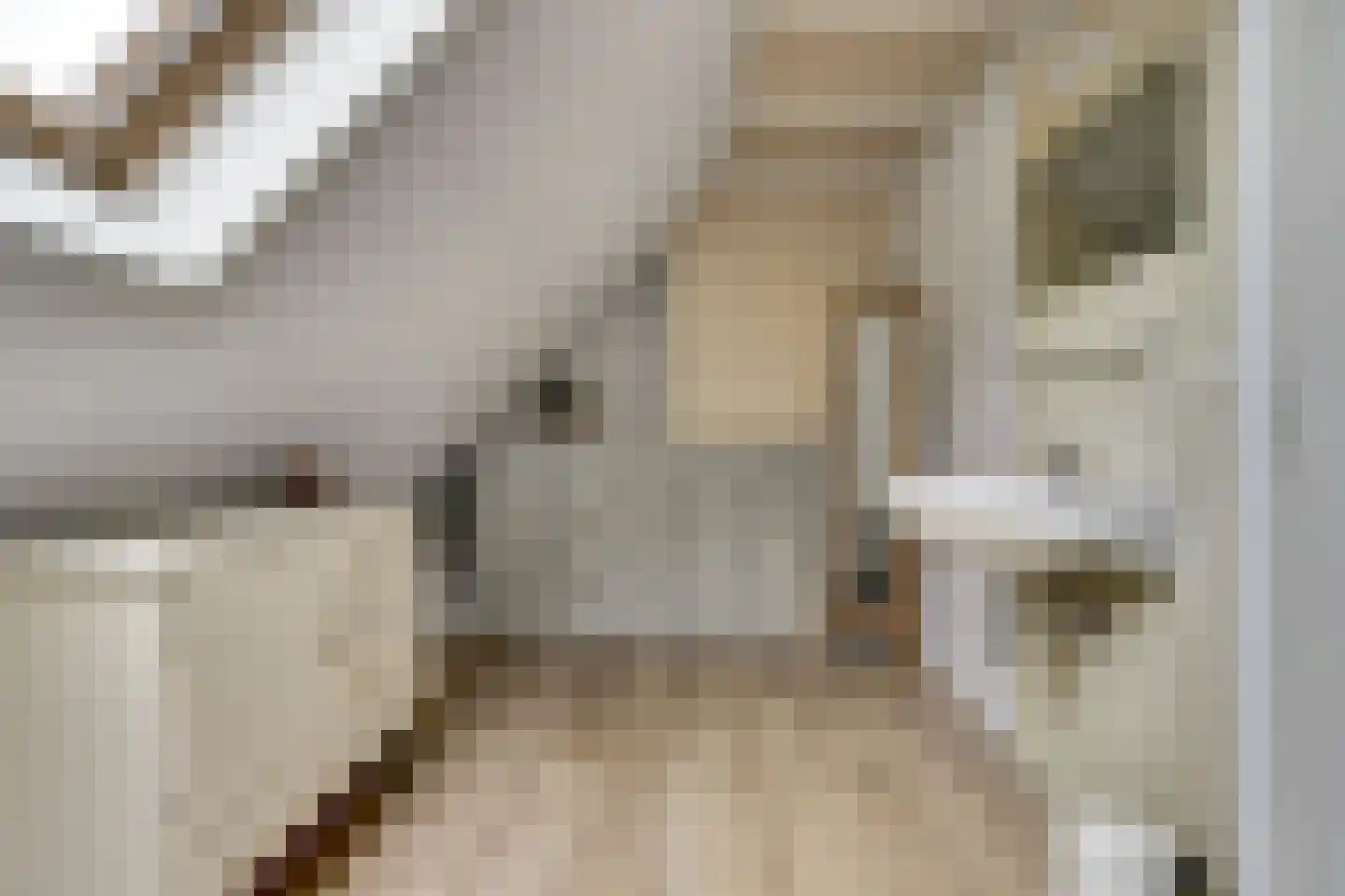 Jenny Weijermanweg 26 Goes thumbnail 34