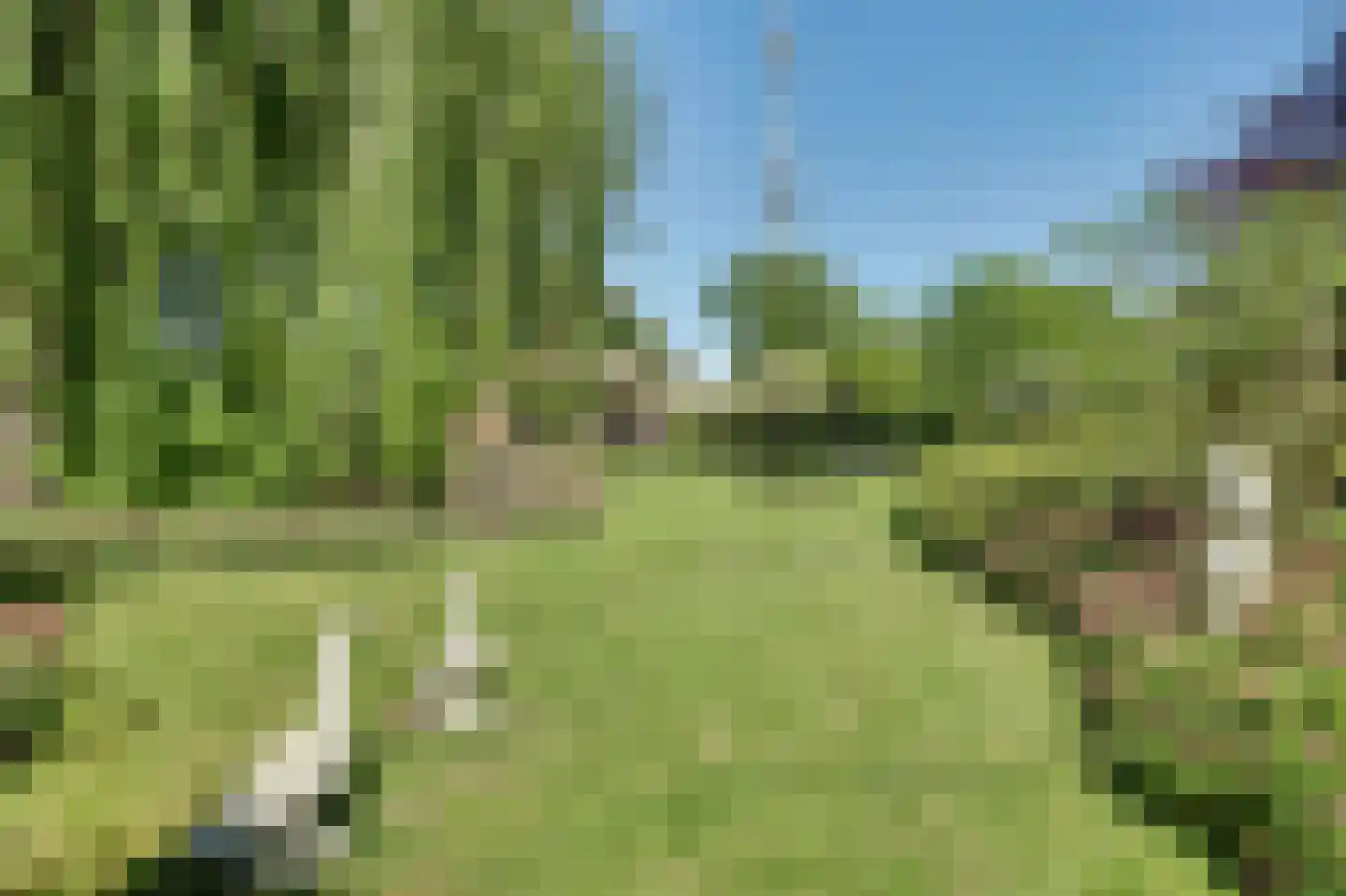 Jenny Weijermanweg 26 Goes thumbnail 44