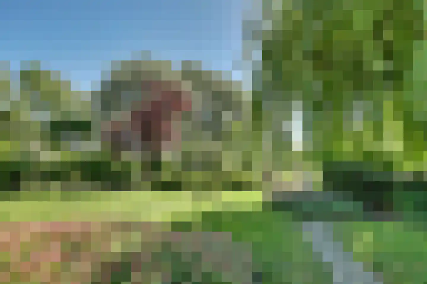 Jenny Weijermanweg 26 Goes thumbnail 51