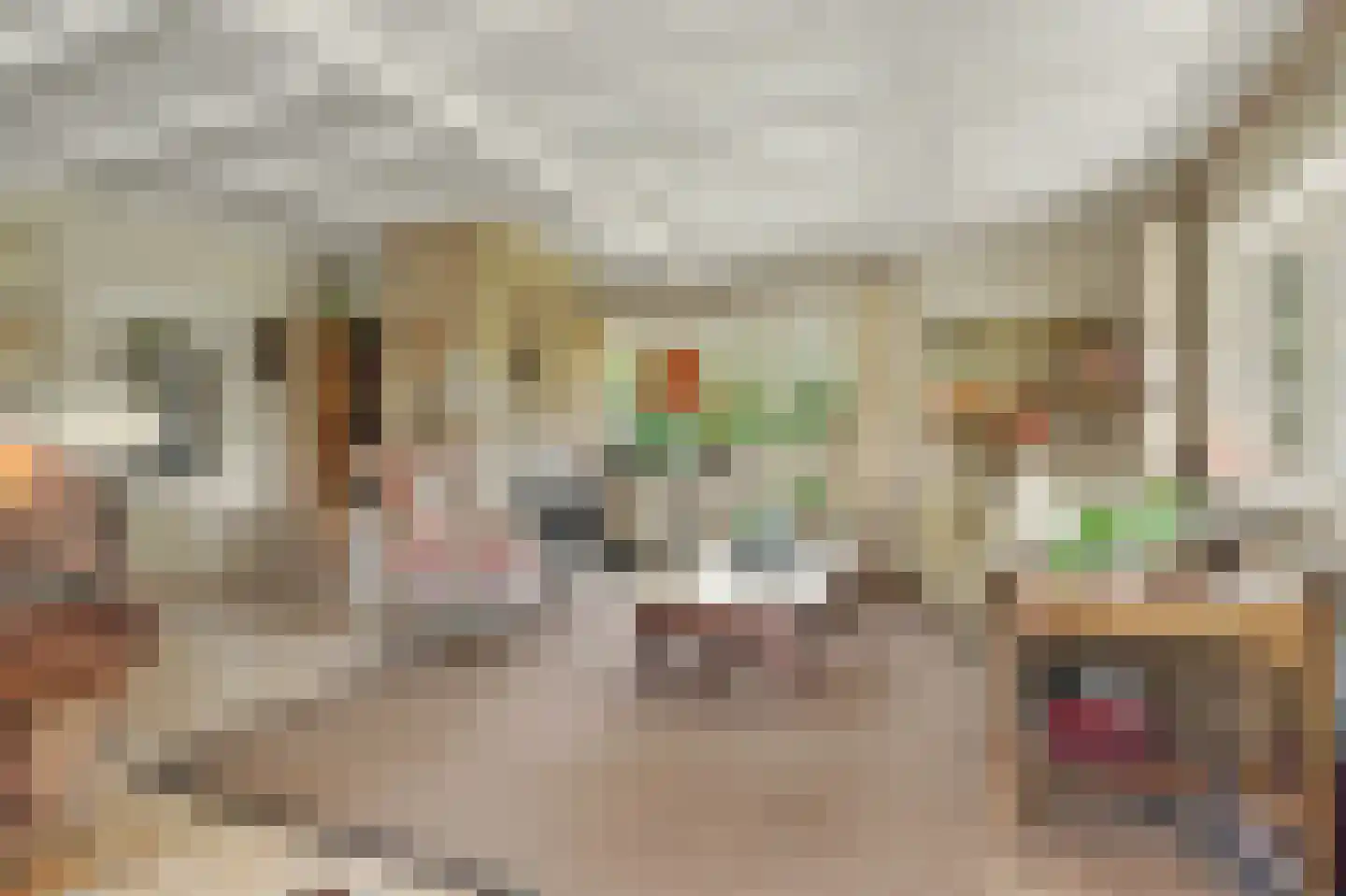 Jenny Weijermanweg 26 Goes thumbnail 7