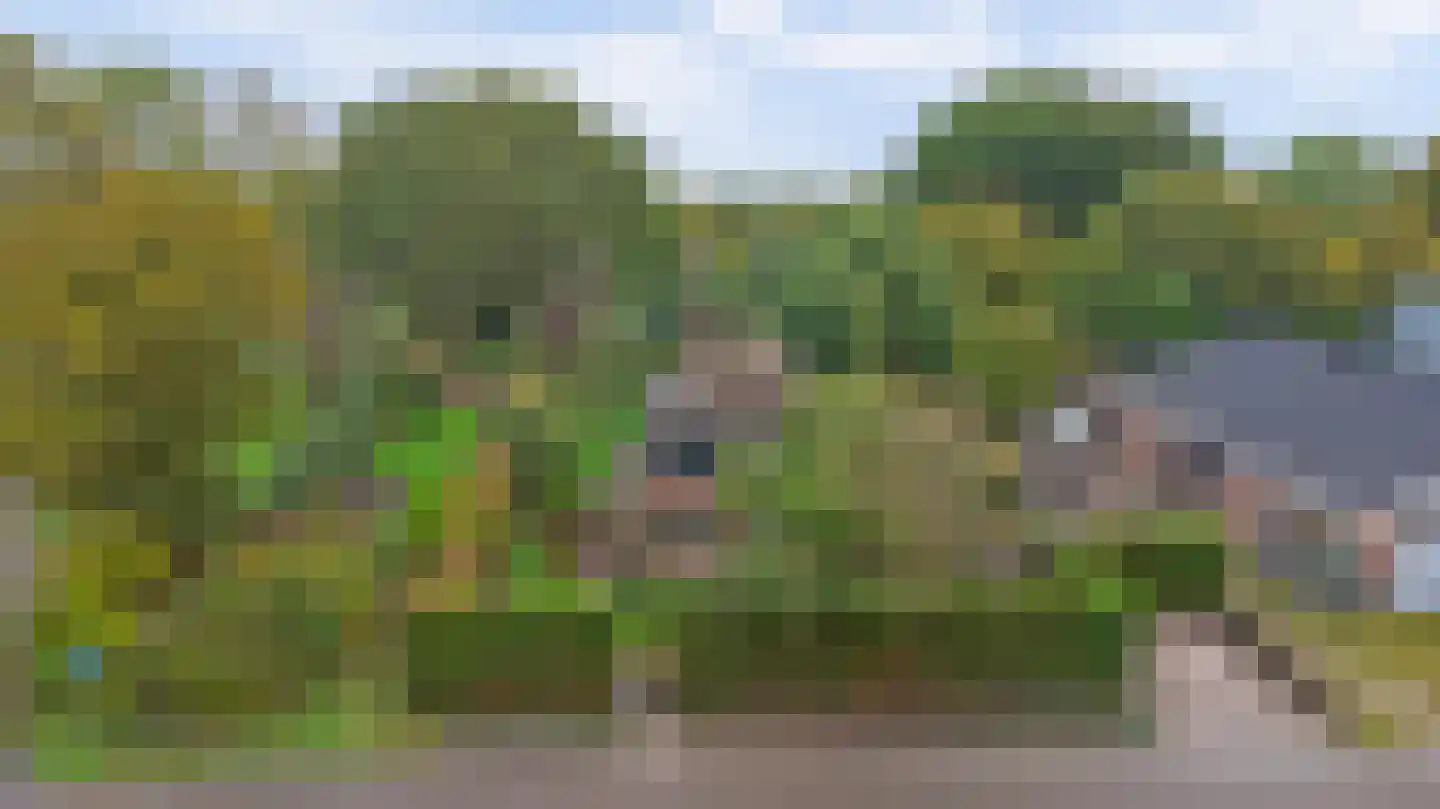 Jenny Weijermanweg 26 Goes thumbnail 73